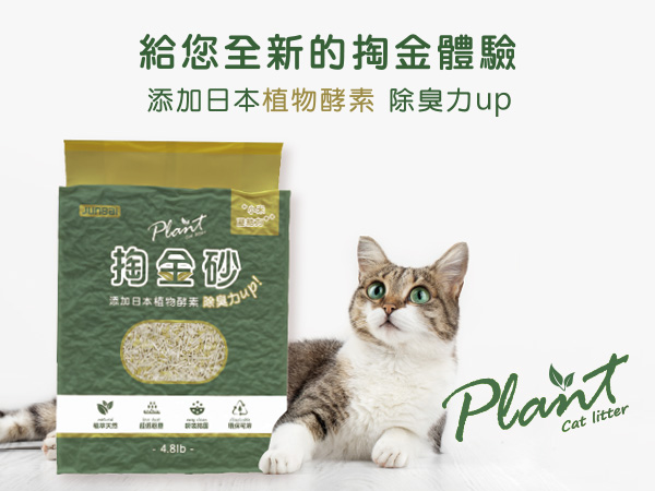 低粉塵豆腐砂品牌